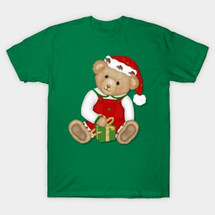 Teddy Bear Boy Beary Merry Christmas T-Shirt